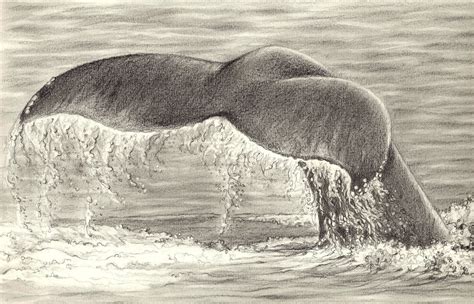 Ocean Pencil Drawing at GetDrawings | Free download