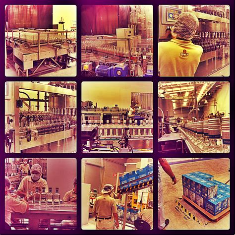 Me, My Drinks and I: Tequila Production Process