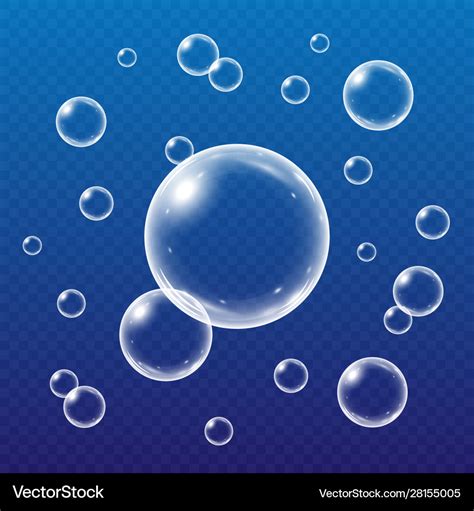 Realistic water bubbles isolated Royalty Free Vector Image