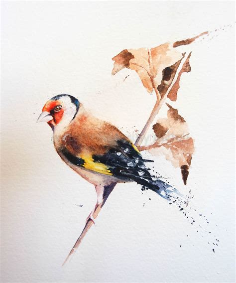 A Goldfinch painting in stages – watercolours by rachel