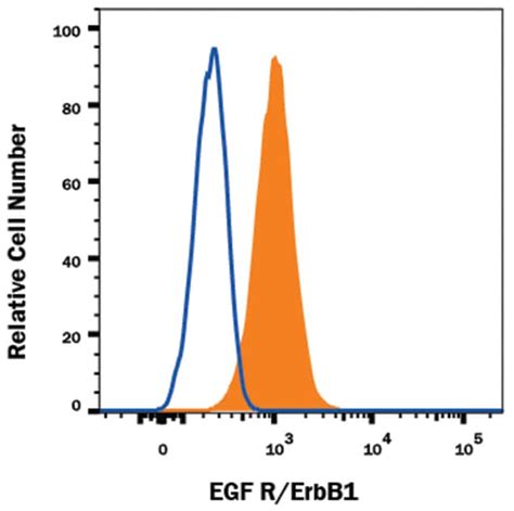 Human EGFR Antibody, R D Systems 100ug; Unlabeled:Antibodies ...