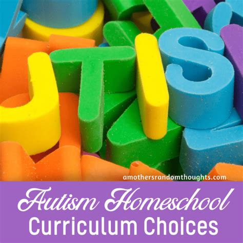 Our Autism Homeschool Curriculum Choices for 2020-2021 - A Mother's ...