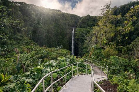 Akaka Falls State Park In Honomu, HI | America's State Parks