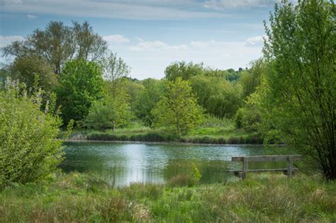 Nature Markets Principles | The Wildlife Trusts