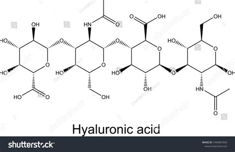 Hyaluronic Acid Molecule Chemical Formula Stock Vector (Royalty Free ...