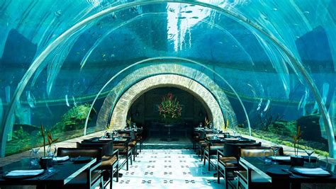 Underwater at Kempinski's Koral • The Yak Online | Koral, Underwater ...