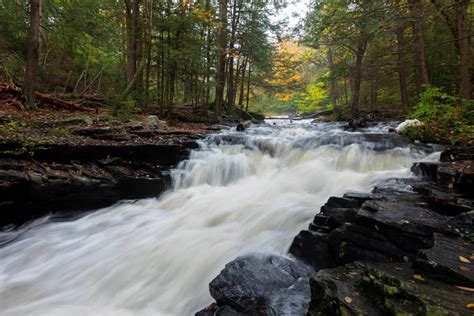 How to Get to Little Falls in Promised Land State Park - Uncovering PA