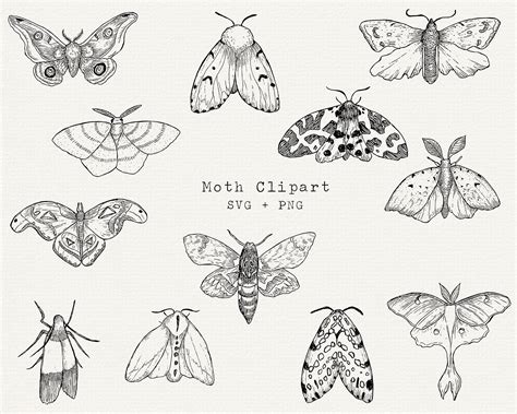 Art & Collectibles Drawing & Illustration planner Digital Download Moth ...