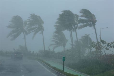 Hurricane Irma kills six on Caribbean island St Martin: official ...