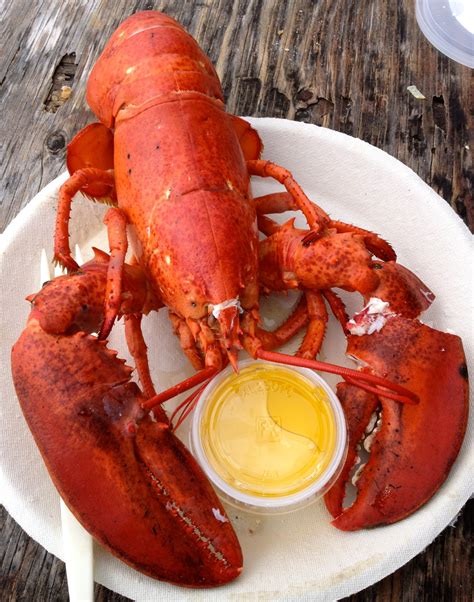 Lobster