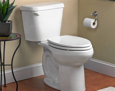 10 Best Low-Flow Toilets: In-Detail Reviews (Fall 2024)