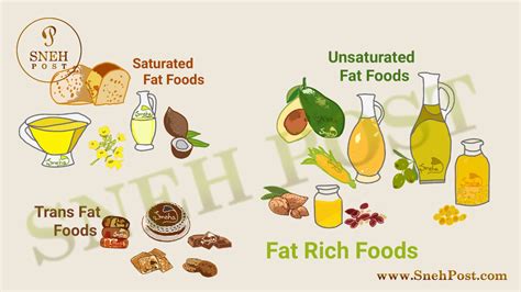 Saturated And Unsaturated Fats Venn Diagram