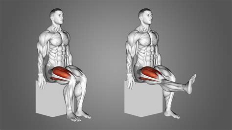 Seated Knee Extension: Benefits, Muscles Worked, and More - Inspire US