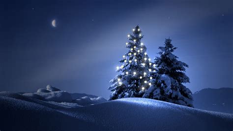 Clearly Christmas Tree At Night Wallpapers HD / Desktop and Mobile ...