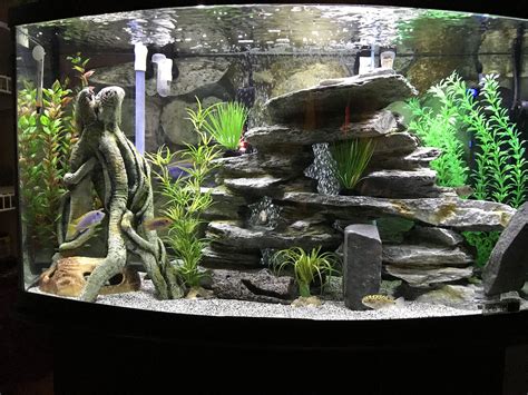 #AquariumTanksIdeas #TropicalFishAquariumIdeas # ...