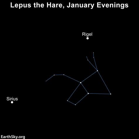 Lepus the Hare hops through the January sky