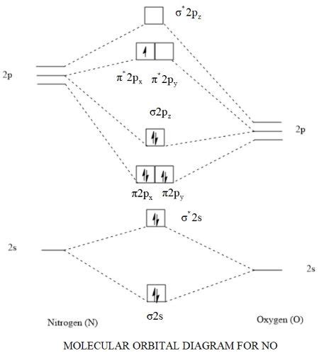 1. Draw molecular orbital diagrams for NO. Determine the bond order and ...