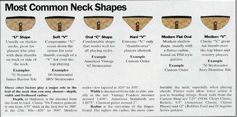 neck shape | Guitar neck, Stratocaster guitar, Neck