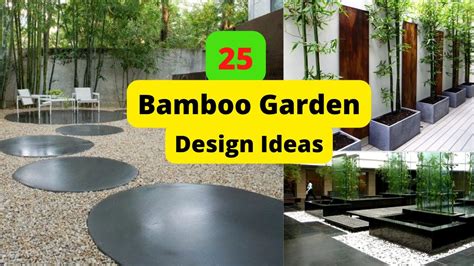 Bamboo Bliss: 10 Backyard Bamboo Garden Designs That Will Transport You ...