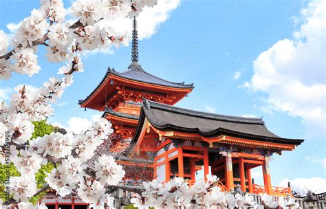 Kiyomizu-dera Temple (Clean Water Temple) and blooming sakura branches ...