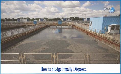 How is sludge finally disposed - Netsol Water