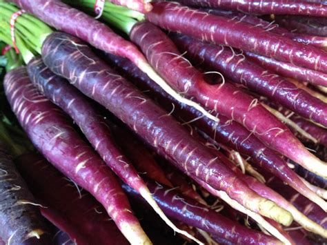 Purple Carrot Review - Wall Street International