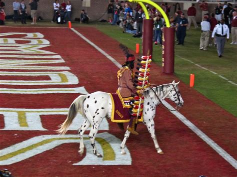 "Renegade" The FSU Seminoles Mascot - Equestrian Stylist