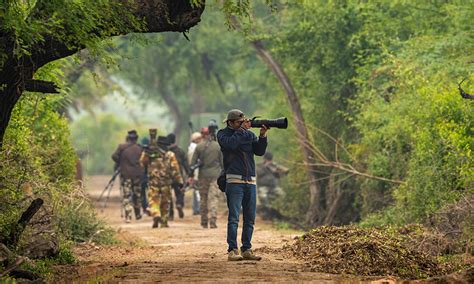 5 reasons why one must visit Keoladeo aka Bharatpur Sanctuary