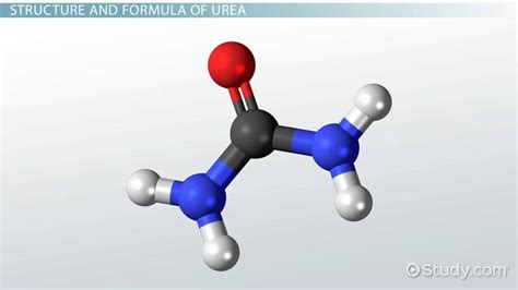 What is Urea? - Structure, Formula & Uses - Video & Lesson Transcript ...