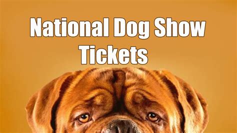 How to Buy National Dog Show 2023 Tickets - Dog Show TV