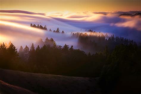 13 Fog Photography Tips for Magical Images