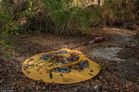 Disney's River Country: 29 Photos Of The Mysteriously Abandoned Park