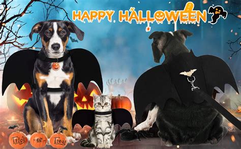 Amazon.com : Dog Bat Costume, Halloween Pet Costumes Bat Wings Cosplay ...