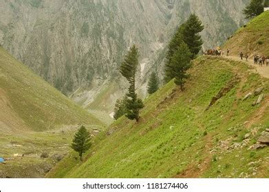 Pahad Images, Stock Photos & Vectors | Shutterstock