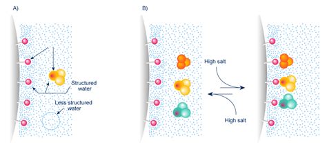 Analysis & purification of proteins: HIC, the separation of molecules ...