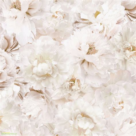 White Flowers Wallpapers - Wallpaper Cave