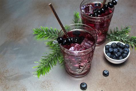 Blueberry Soda Recipe – ifiGOURMET Provisions