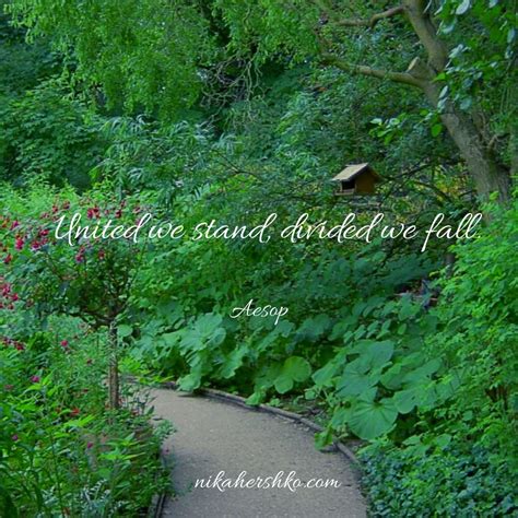 United we stand, divided we fall - Serene & Green Living by Nika Hershko