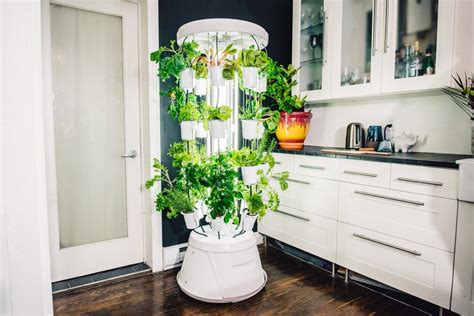 14 Incredible Indoor Garden System For 2024 | Storables