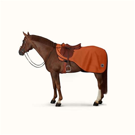 Hermès Horse Equipment | Horses, Horse equipment, Equestrian