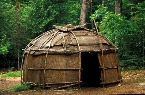 Iroquois Bark Wigwam wigwam made from saplings and bark, a typical ...