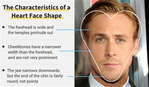 Heart Face Shape: Pick the Best Beard for it (Definitive Guide)