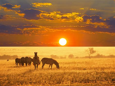 Etosha National Park in Namibia - Earth.com etosha-nationalparkinnamibia