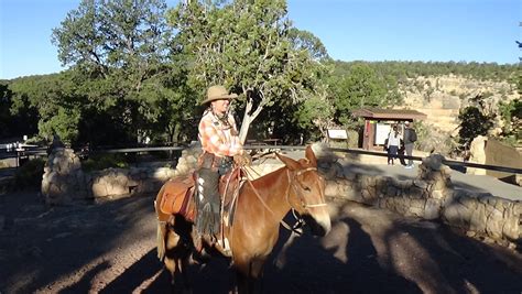 Thursday, Oct. 1, 2020 – Mule Ride Down to Phantom Ranch