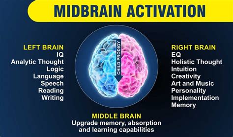 MBA (Mid Brain Activation Program) - realbrain.in