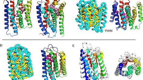 What Is The Structure Of Proteins - Protein Choices