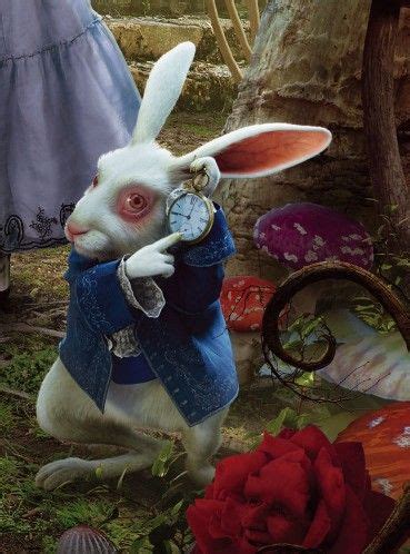 The White Rabbit | White rabbit alice in wonderland, Alice in ...