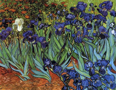 Iris - Vincent Van Gogh, descrizione | Il giardino del tempo