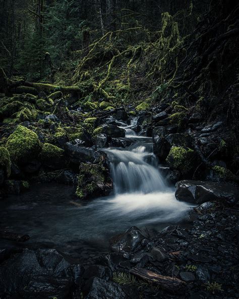 Hoh Rainforest Waterfall in the Olympic National Park Photograph by ...