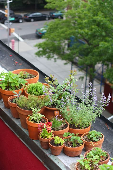 66 Square Feet (Plus): Plants for a roof garden: up and down